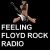 Feeling Floyd Rock